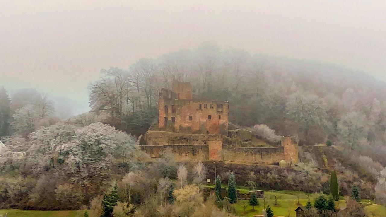 Burg Freienstein Blick 4 Sterne Mit Sauna Gammelsbach Exteriör bild