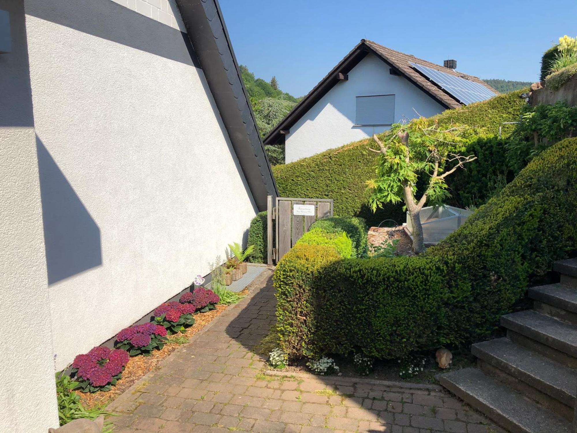 Burg Freienstein Blick 4 Sterne Mit Sauna Gammelsbach Exteriör bild